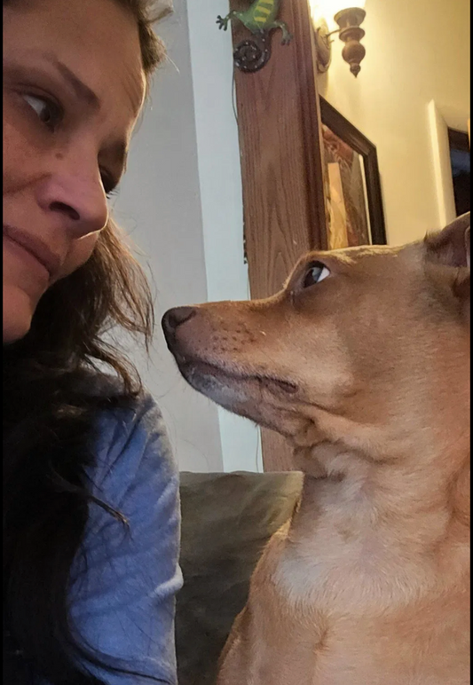 CBN for Dogs: What It Is and Why It Helps With Anxiety and Sleep