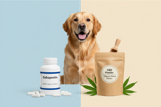 CBD vs. Gabapentin for Dogs: Is There a Natural Alternative?
