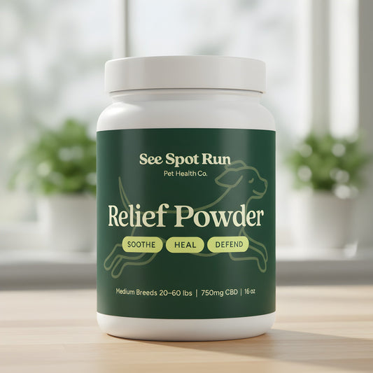 Full Spectrum vs. Broad Spectrum vs. Isolate CBD for Dogs