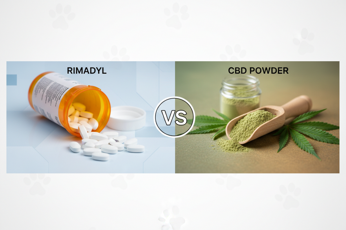 CBD vs. Rimadyl for Dogs: Comparing Pain Relief Options